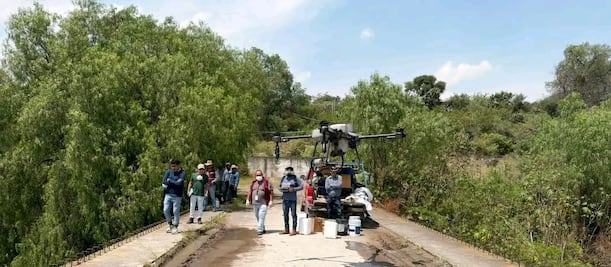 Realizan prueba piloto para control de lirio en presa de Alfajayucan