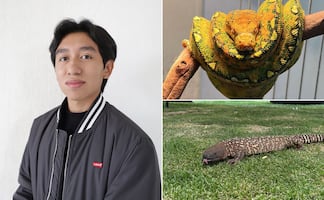 ¡De la afición a la conservación! Estudiante de la UAEH impulsa comercialización legal de fauna no convencional