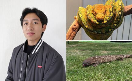 ¡De la afición a la conservación! Estudiante de la UAEH impulsa comercialización legal de fauna no convencional