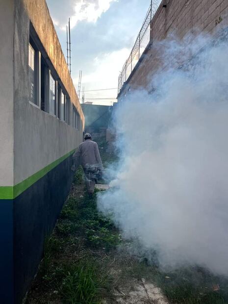 Atlapexco y Pisaflores lideran casos de dengue en la Sierra Gorda | Foto: Especial