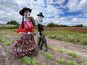 Festival de las Flores Doxey: campos de cempasúchil y tradición vivos en Tlaxcoapan
