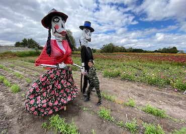 Festival de las Flores Doxey: campos de cempasúchil y tradición vivos en Tlaxcoapan