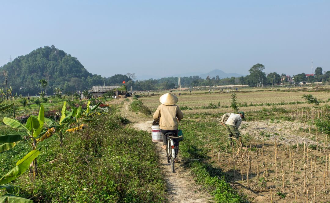 El asunto está radicado en el expediente 1541/2025 | Foto: Pixabay