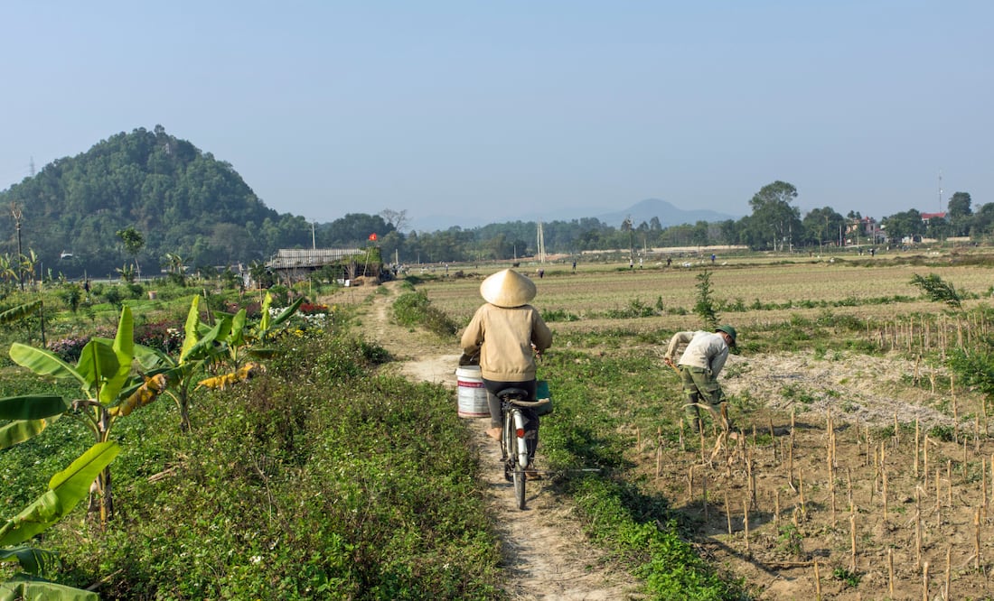 El asunto está radicado en el expediente 1541/2025 | Foto: Pixabay