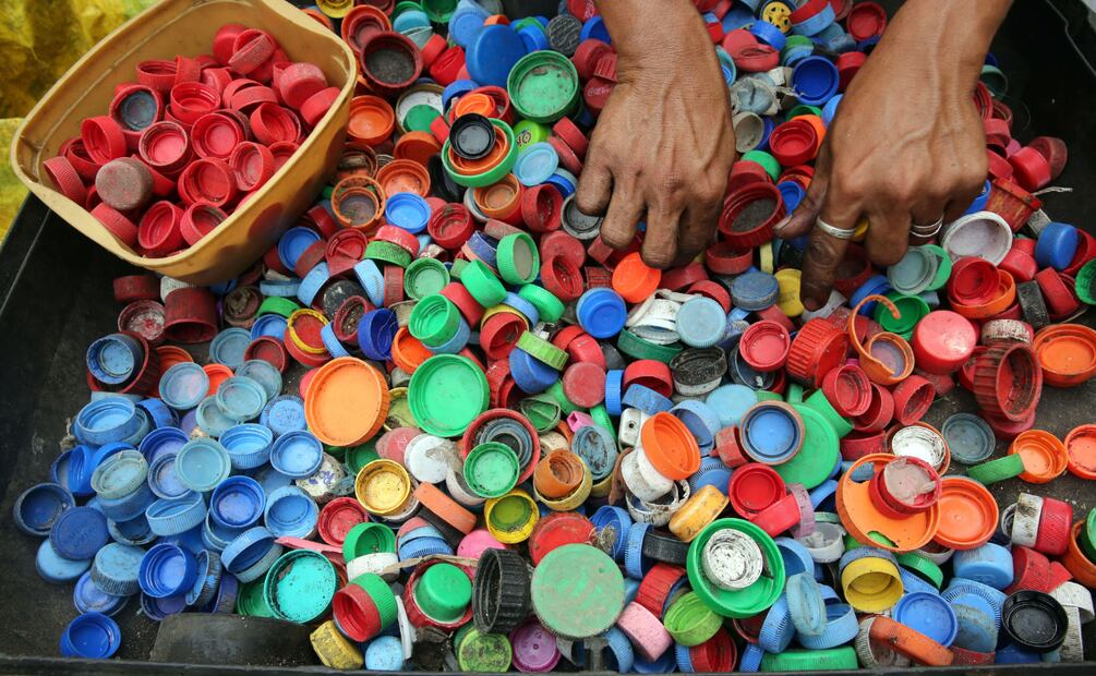 Cuautepec impulsa campaña de reciclaje de útiles escolares con entrega de semillas | Foto: Pexels