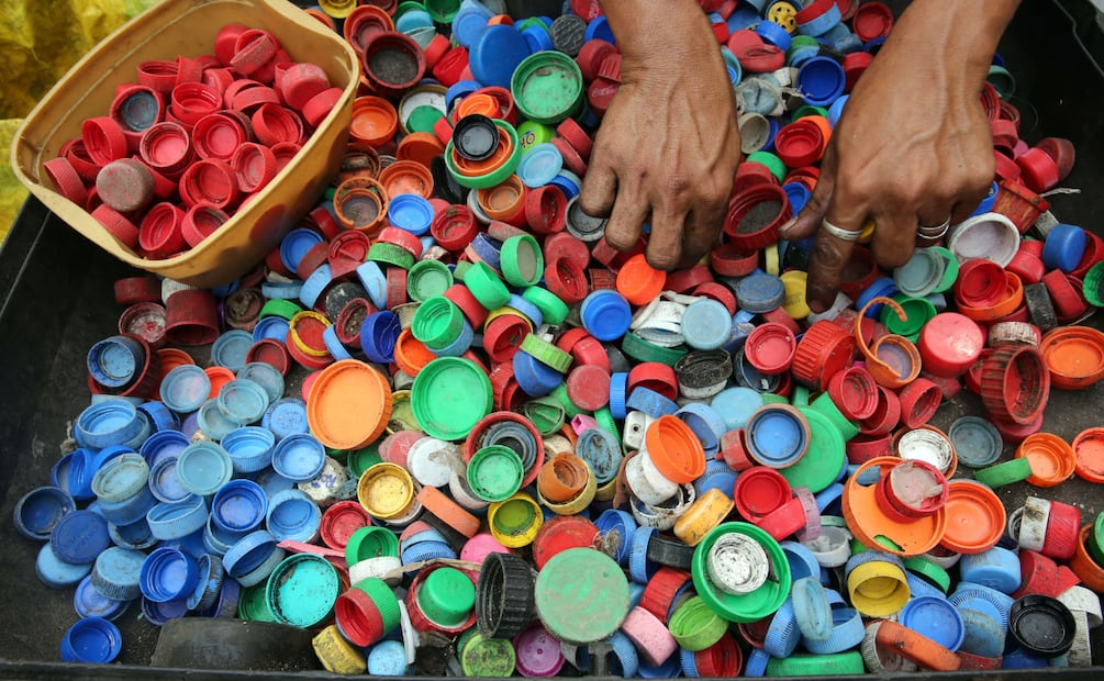 Cuautepec impulsa campaña de reciclaje de útiles escolares con entrega de semillas | Foto: Pexels