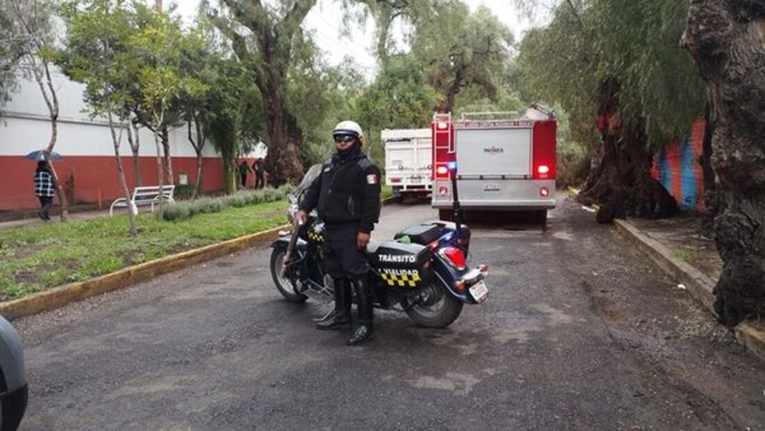 Cae árbol sobre calzada Cuesco y provoca movilización de emergencia | Foto: Especial