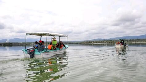 Siembran 200 mil alevines de tilapia en presa en Alfajayucan