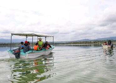 Siembran 200 mil alevines de tilapia en presa en Alfajayucan