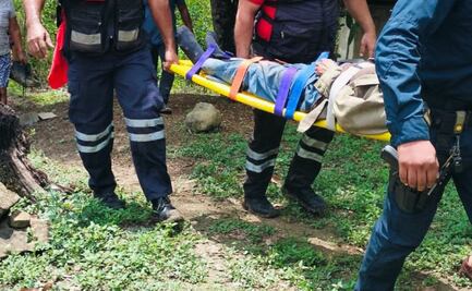 Adulto mayor resulta herido al caerle un árbol mientras lo talaba en Huejutla