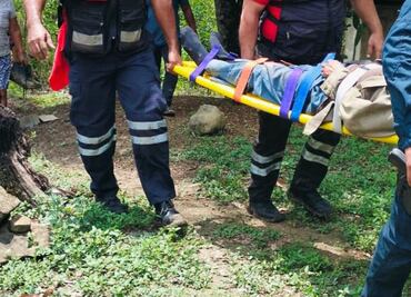 Adulto mayor resulta herido al caerle un árbol mientras lo talaba en Huejutla
