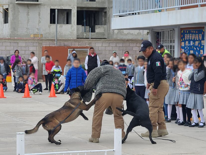 Entrenamiento y certificación de la Unidad K9 en Mineral de la Reforma | Facebook: Secretaría de Seguridad Pública y Tránsito Municipal MR 2024-2027