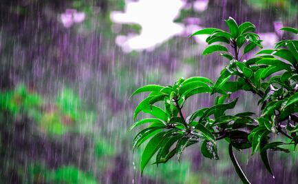 Tormenta tropical John toca tierra en Michoacán; se prevén lluvias extraordinarias en el occidente y centro del país