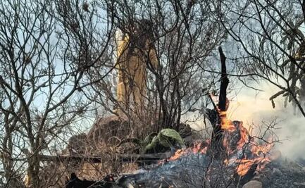 Iniciarán revegetación en Yonthe Chico y Taxhie tras incendio que devastó hasta 100 hectáreas