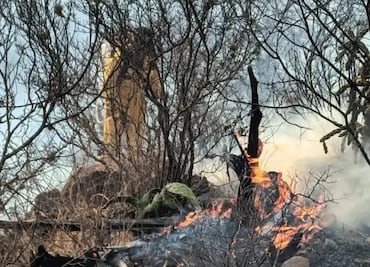 Iniciarán revegetación en Yonthe Chico y Taxhie tras incendio que devastó hasta 100 hectáreas