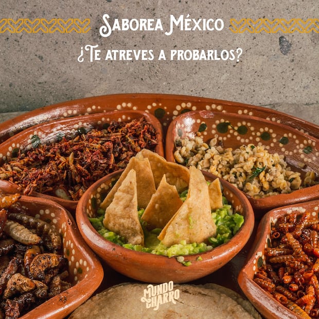 Gastronomía local y respeto animal, pilares del parque | Facebook: Mundo Charro