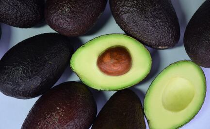 Exportación de aguacate aumenta por consumo de guacamole y tacos