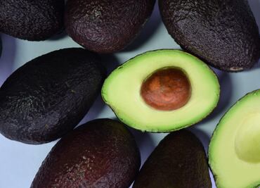 Exportación de aguacate aumenta por consumo de guacamole y tacos