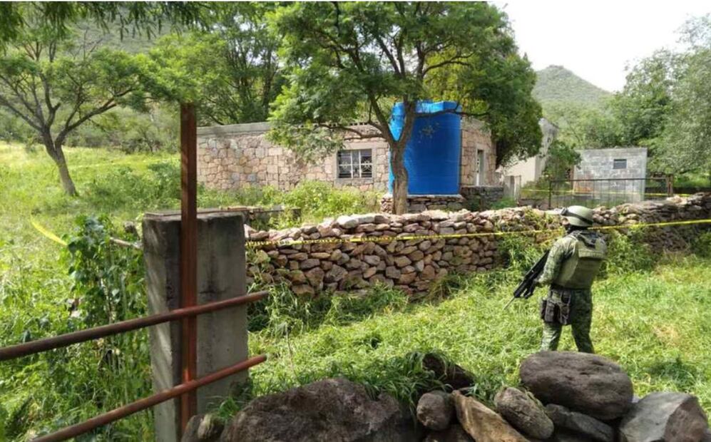 En liberación masiva de secuestrados en Zacatecas, rescatan a perro | Foto: El Universal