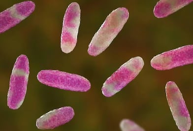 Secretaría de Salud en Hidalgo en alerta por brote de la bacteria Klebsiella Oxytoca en Estado de México