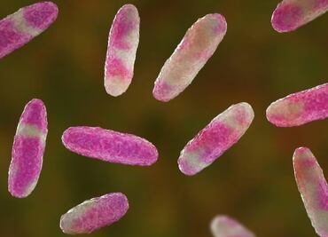 Secretaría de Salud en Hidalgo en alerta por brote de la bacteria Klebsiella Oxytoca en Estado de México