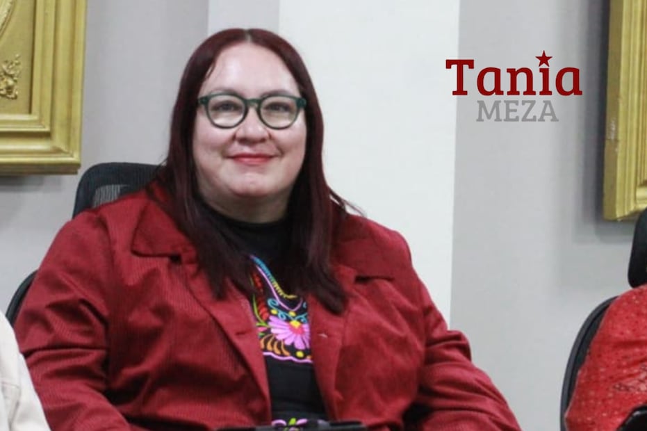 Iniciativa de Ley de Protección a Periodistas en Hidalgo sigue sin llegar al Pleno | Twitter: Tania