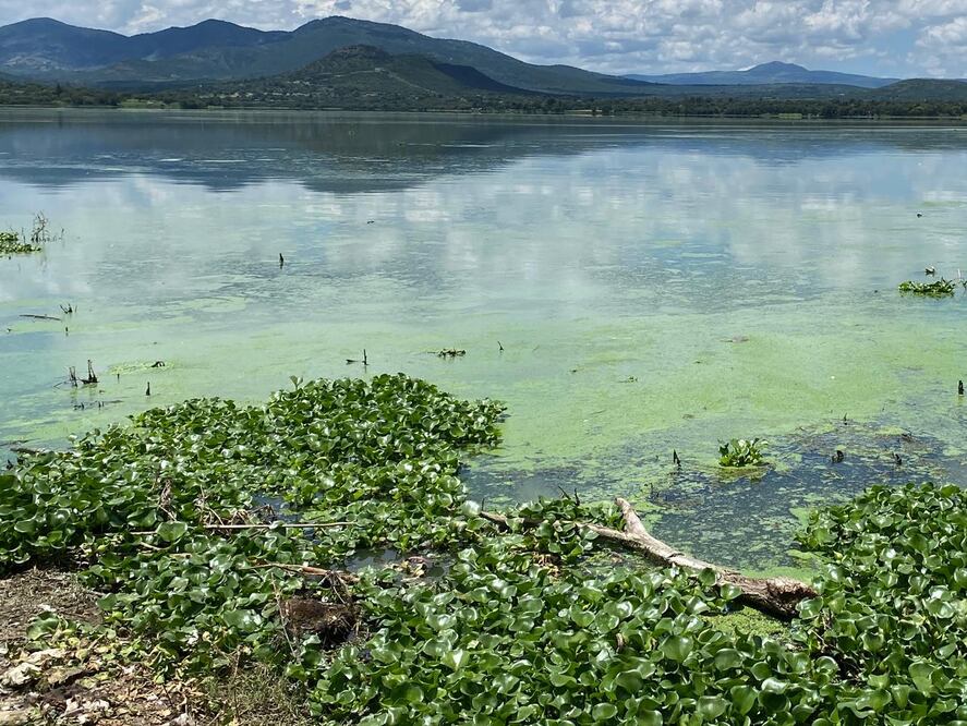 Presa Endho I Foto: Luis Soriano