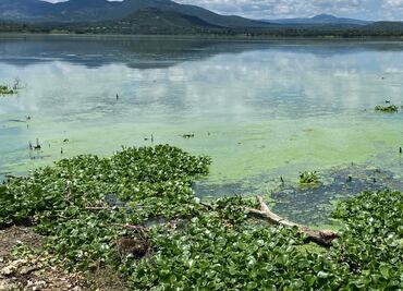 Alcaldía de Tula tomó 1 mdp. de fondo de emergencias para limpieza en presa Endhó