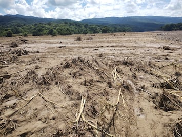 Más de 335 mil hectáreas agrícolas afectadas en Hidalgo por la perturbación tropical 90-E