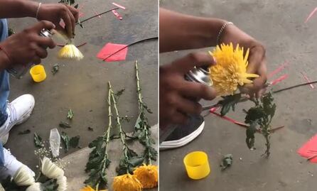 Hombre se hace viral por pintar flores blancas de color amarillo