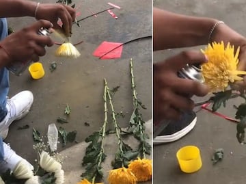 Hombre se hace viral por pintar flores blancas de color amarillo