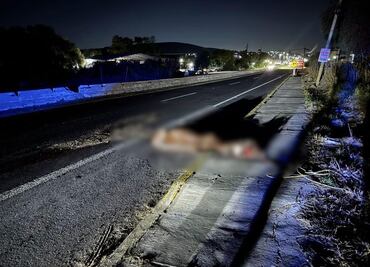 Taxi embiste a caballo suelto en Mixquiahuala; el animal muere y el conductor resulta lesionado