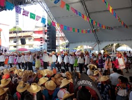 Huejutla da inicio al Xantolo 2025 con majestuoso desfile de cuadrillas