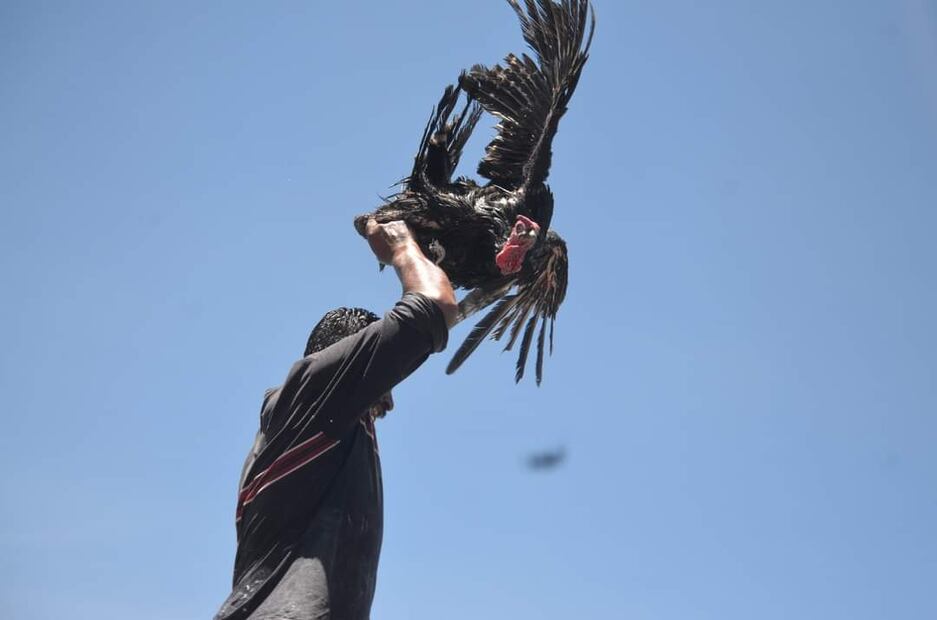 La Cucaña, tradición de obreros que genera turismo en Santiago Tulantepec | Foto: Especial