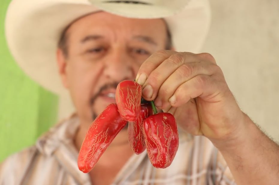 Se realizó con éxito el primer festival del chile rayado en La Misión I Foto: Gobierno de Hidalgo