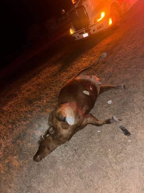 Una víctima fatal y tres heridos graves en choque de autobús con tráiler | Foto: Especial