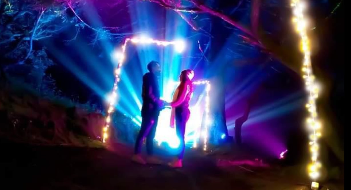 Foto: Bosque iluminado 2023