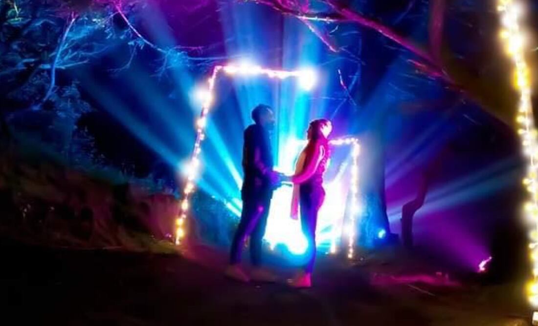 Foto: Bosque iluminado 2023