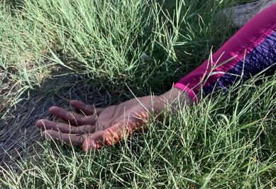 Pachuca, Tizayuca, Apan y Zacualtipán con alta incidencia de feminicidios