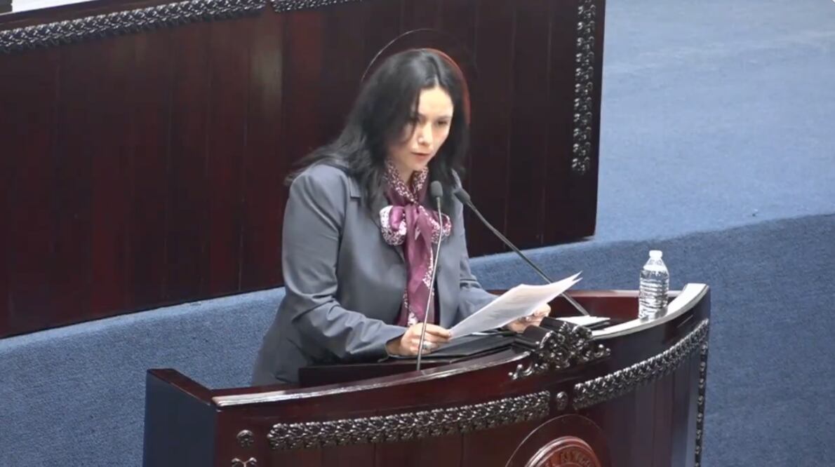 Diputada Lizbeth Irais Ordaz I Foto: Toma de video