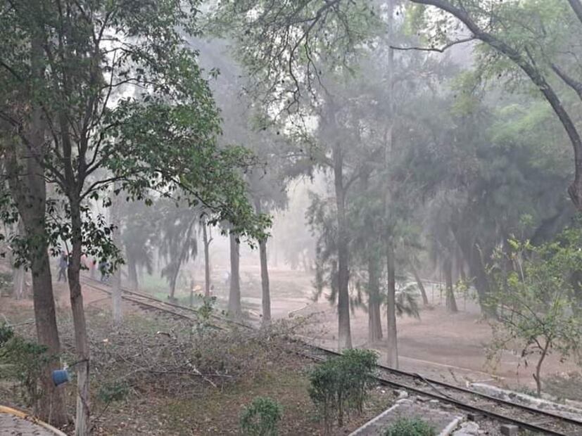 Parque Benito Juárez I Foto: Especial