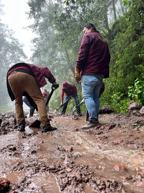 Un grupo de 300 personas se concentra principalmente en la Otomí-Tepehua, Huasteca, Sierra Baja y Sierra Gorda