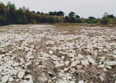 Ayuntamiento de Huejutla se declara en estado de emergencia por la sequía; pide ayuda