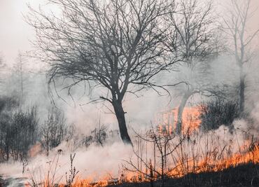 PC Hidalgo pide a alcaldes implementar controles y sanciones a quienes provoquen incendios