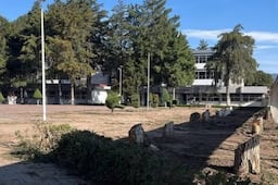 Retiro de 34 árboles, por construcción de nuevo auditorio en Ciudad del Conocimiento: rector