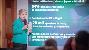 Destinan 75 mdp a saneamiento de la presa Endhó; retiran 140 mil m³ de lirio