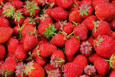 El alimento que beneficia la función cerebral y la presión arterial