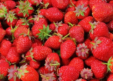 El alimento que beneficia la función cerebral y la presión arterial