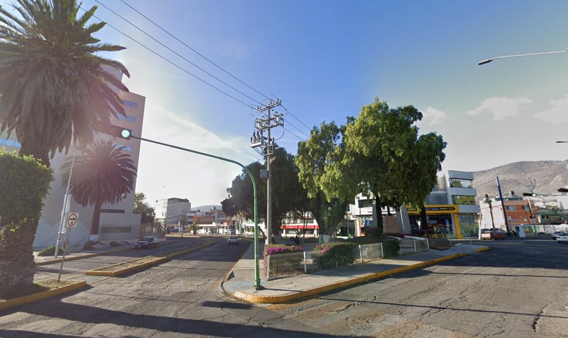 En los últimos tres años, se han talado 563 árboles de cinco áreas verdes de la capital y la plaga del descortezador sigue avanzando | Foto: Google Maps