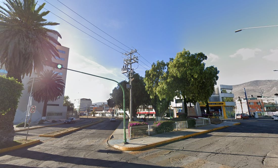 En los últimos tres años, se han talado 563 árboles de cinco áreas verdes de la capital y la plaga del descortezador sigue avanzando | Foto: Google Maps